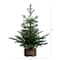 3ft. Pre-Lit Artificial Christmas Tree in Jute Wire Planter with 30 Warm White LED Lights